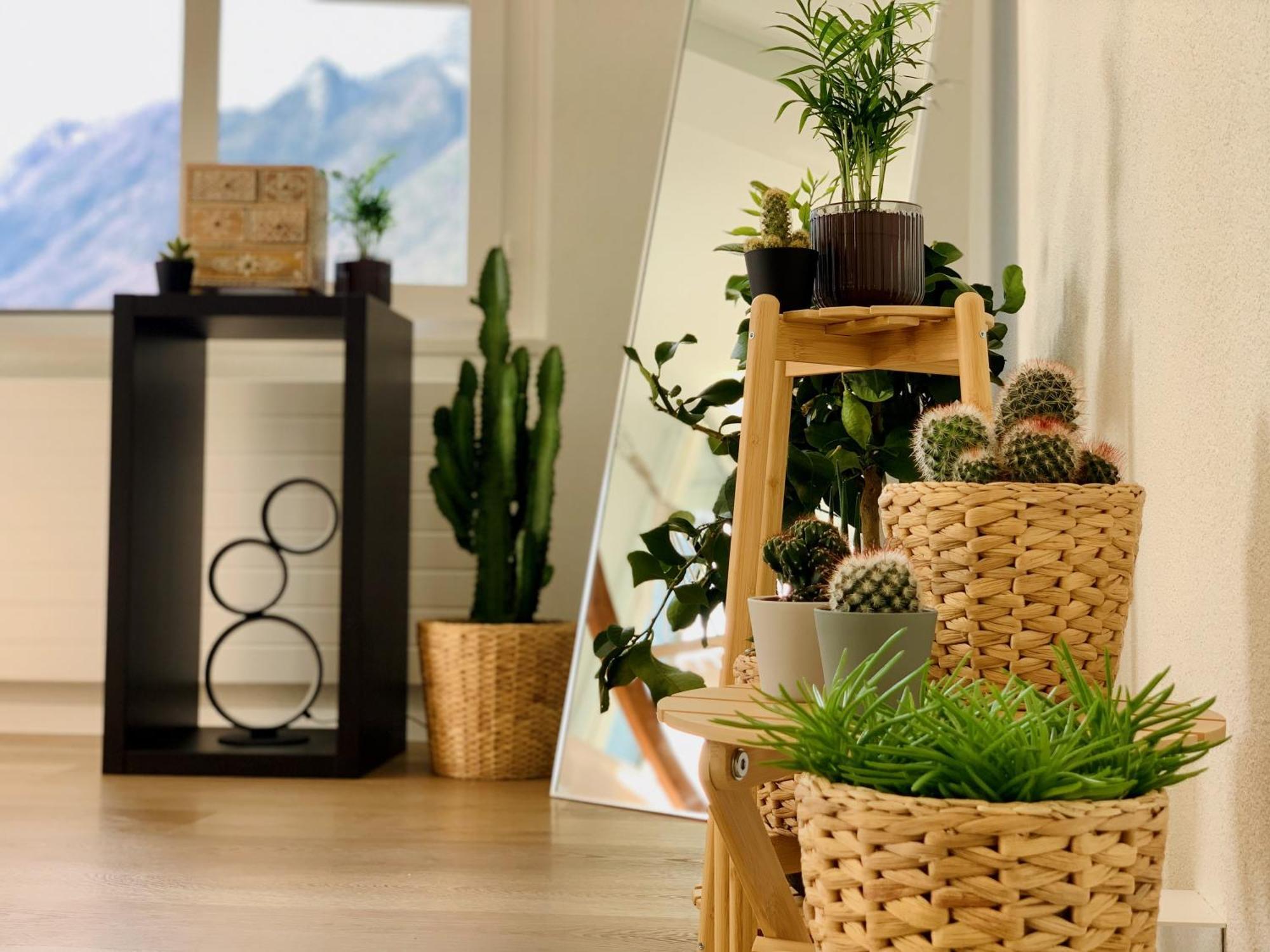 IngenbohlEva O Wellnessoasis O Montainview O Pizzaoven O公寓 外观 照片
